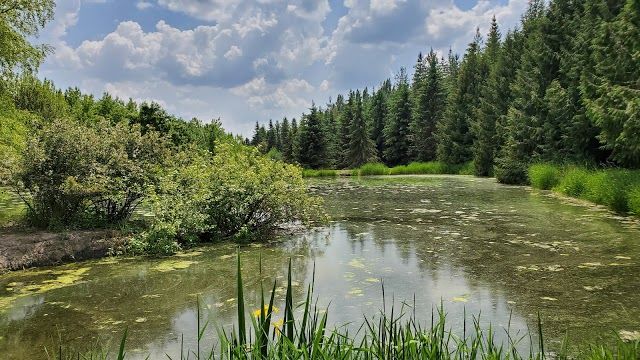 Arboretum & Botanical Garden